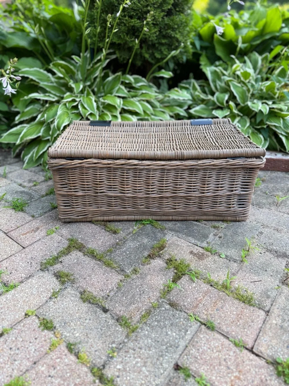 Pottery Barn Wicker Storage Trunk